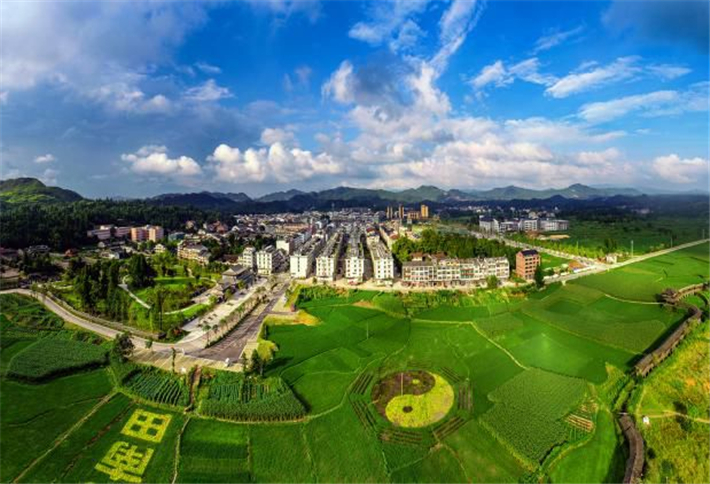 武阳村