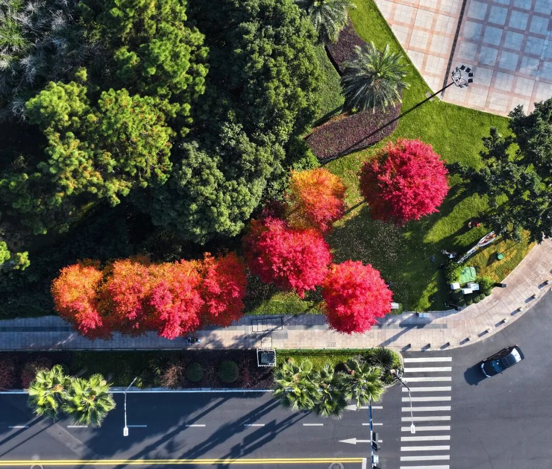 �ֳ�Ƭ�ˣ���������ݵĶ��������ɣ�