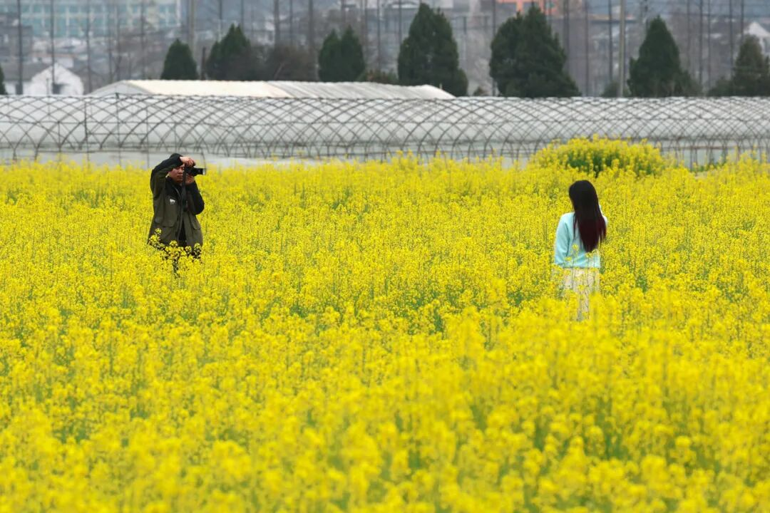 ������������ʱ ����ͻ���ͼ���պ�