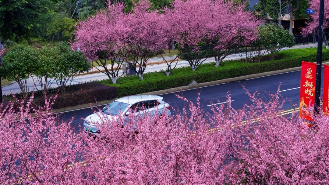 ���ݴ��շ�������������